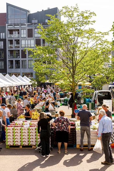 wekelijkse donderdagmarkt