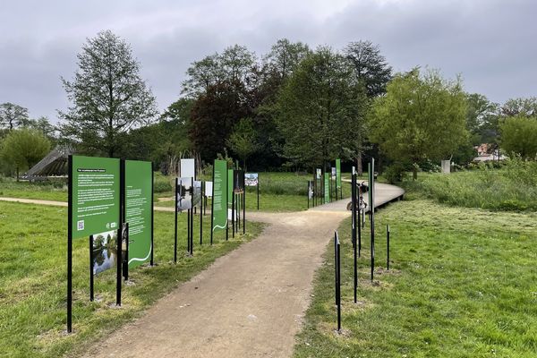 seniorenportretten 'In genk voel ik me thuis'